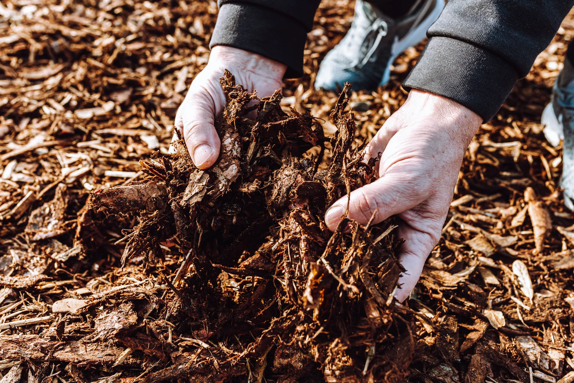 Mulched landscape beds