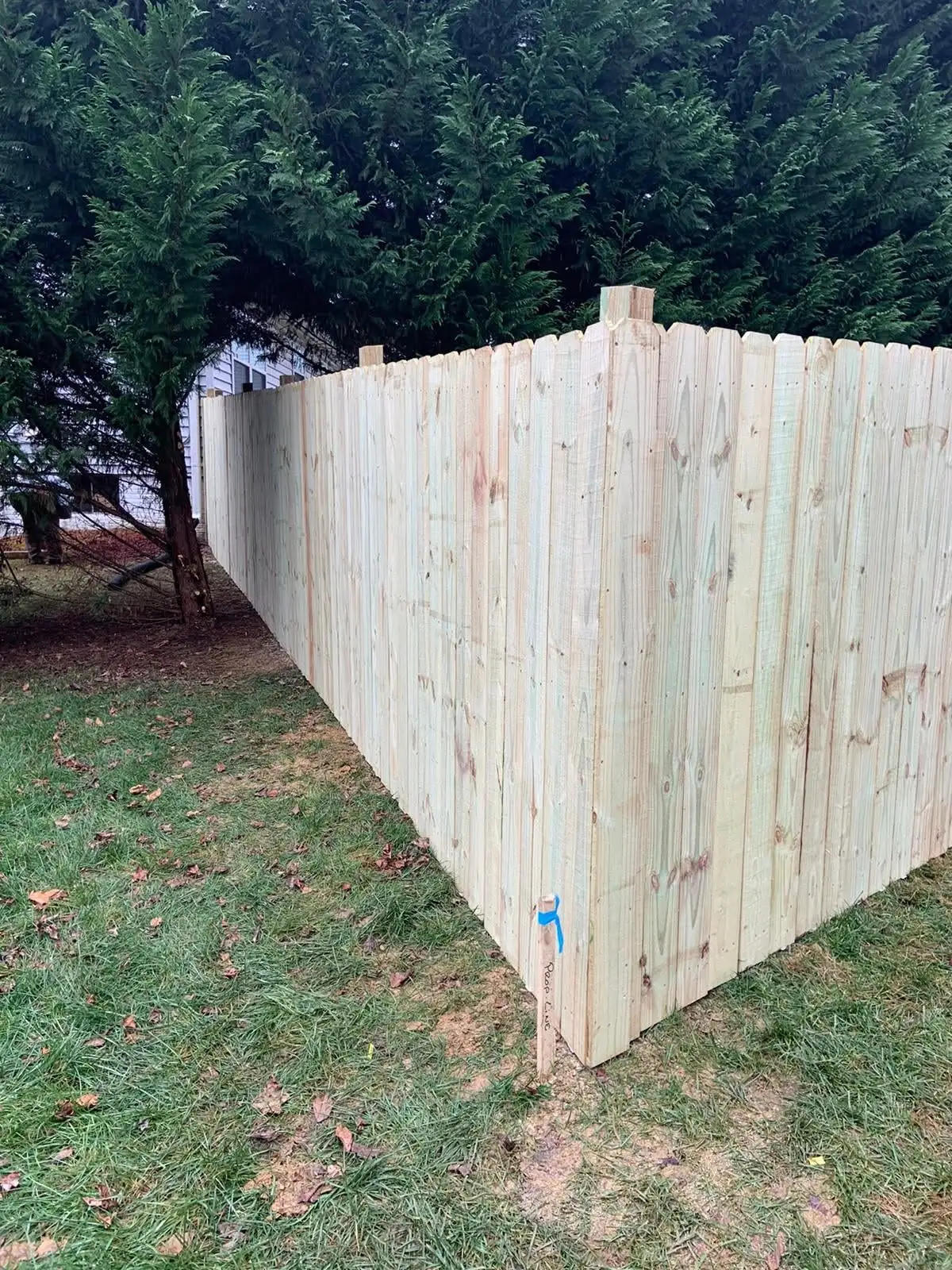 Natural wood privacy fence